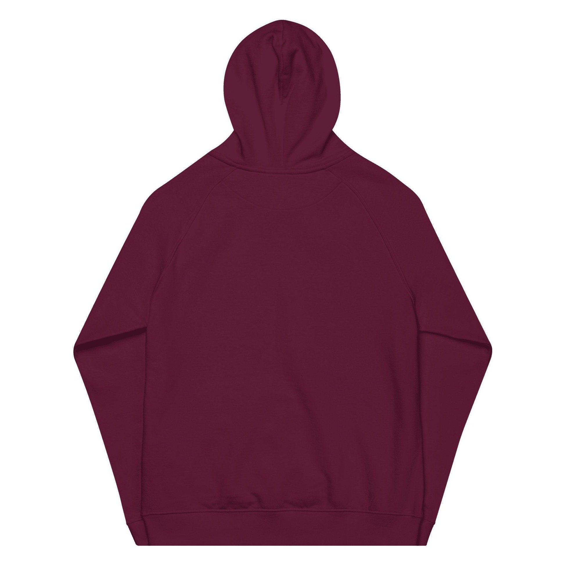 Newtazz | Sweat à capuche écologique Raglan Homme et Femme - Urban Echo - NEWTAZZ